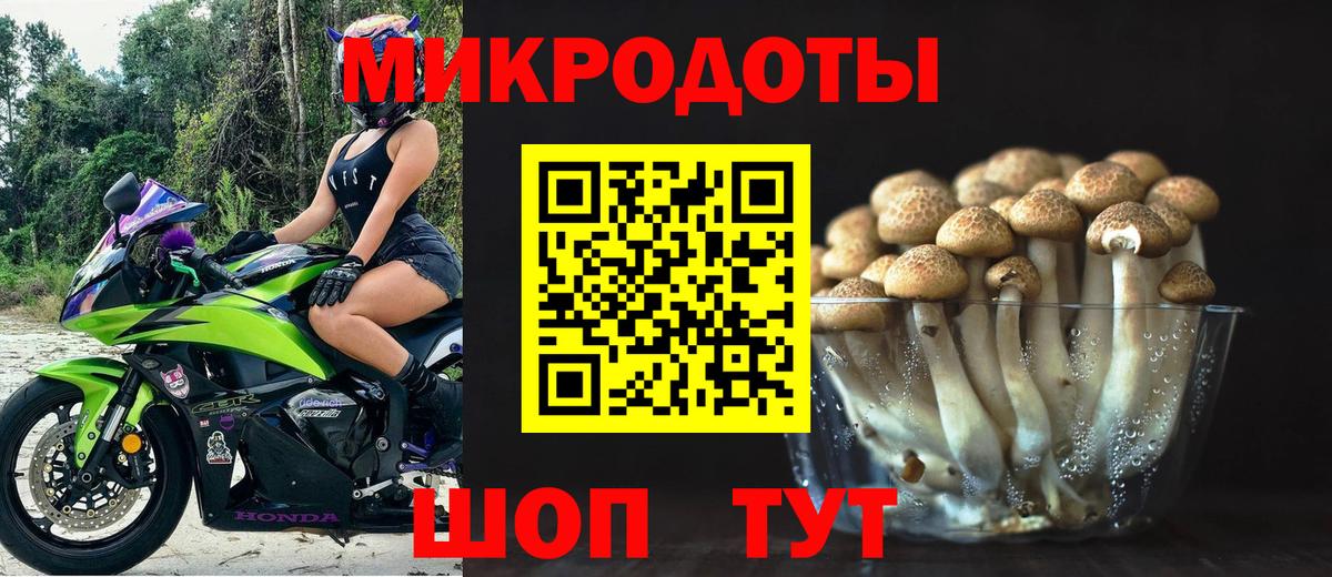 Псилоцибиновые грибы Psilocybe  Вход с VPN  Серов  Галлюциногенные грибы MAGIC MUSHROOMS 