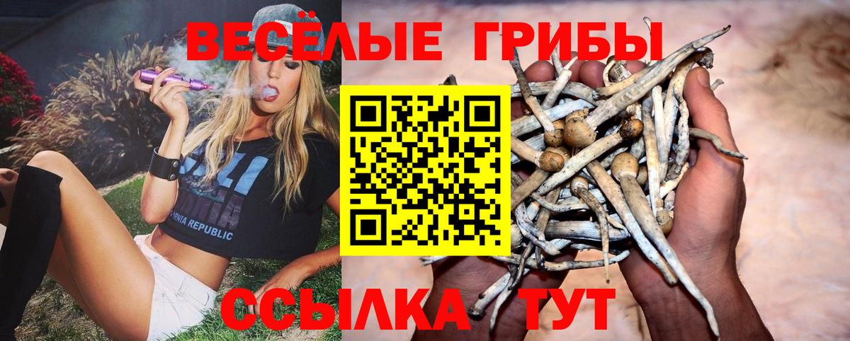 Псилоцибиновые грибы ЛСД Серов